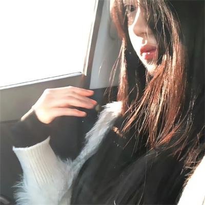 追梦小海豚